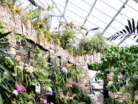 Daniel Stowe Botanical Garden Orchid Conservatory