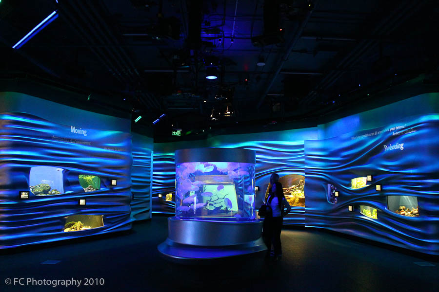 California Academy of Sciences Aquarium Part 2 of 3