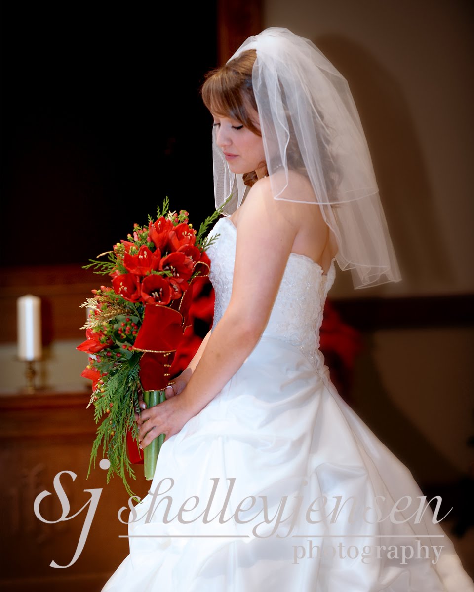 Shelley Jensen Photography