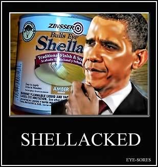 Shellacked.jpg