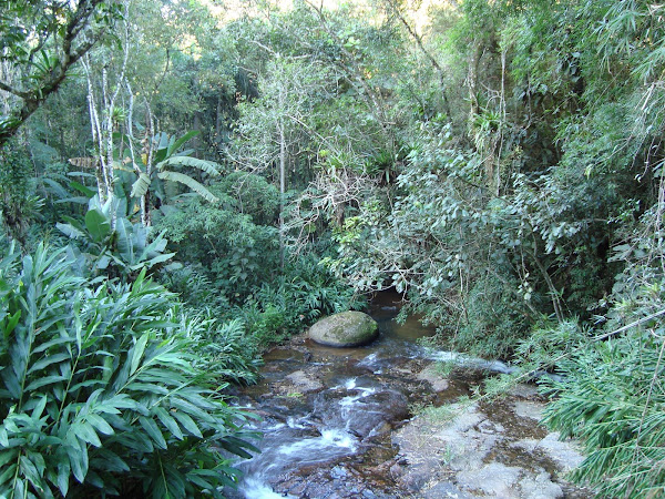 ribeirão do pouso frio