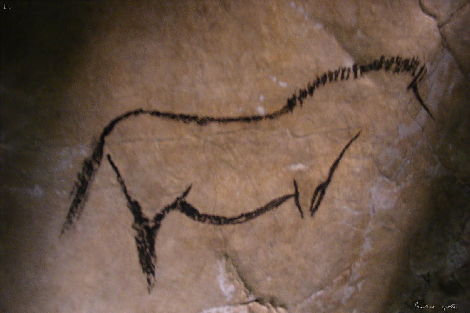 [Peinture+grotte.JPG]