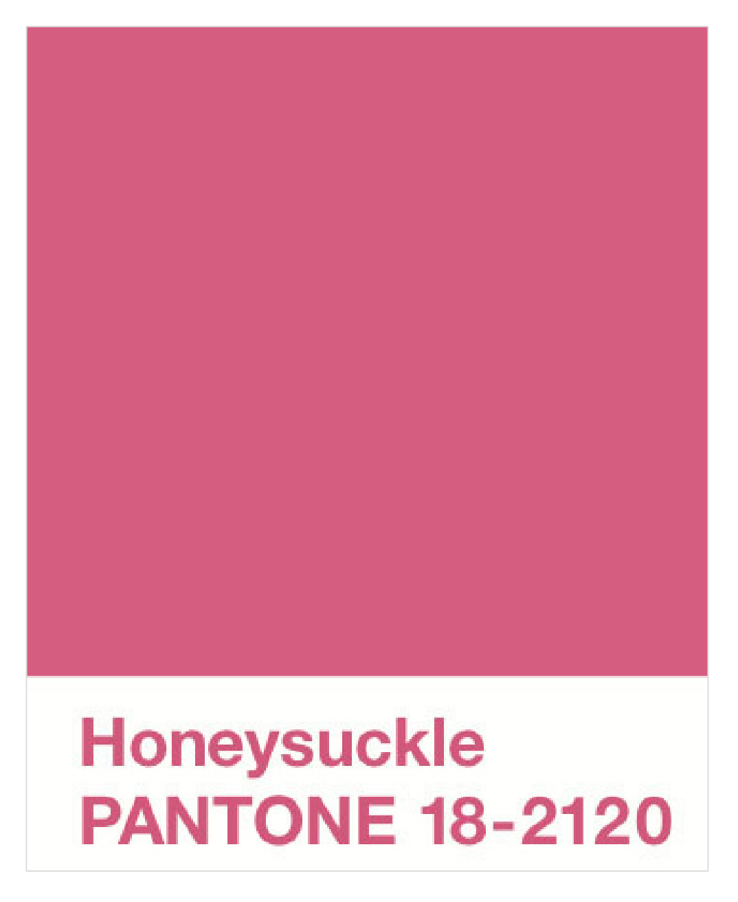 creative | outlet: 2011 | pantone color of the year