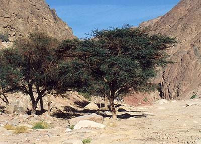 Alumni Tingkatan 5 KIK 1977 gharqad