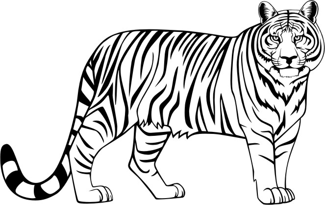 clip art free black and white tiger - photo #21