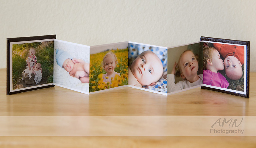 AMN Photography Product Highlight Accordion Mini Books