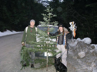 Christmas Tree hunting