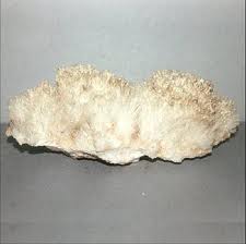 Mundo Encharmed: ARAGONITA