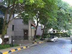 nicely surfaced driveway to basement parking