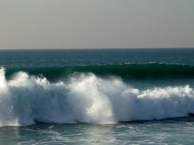 [vioYpQ944931-02.jpg]