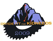 DivideITT* for Kidneeds