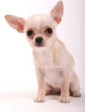 Isn't he adorable?