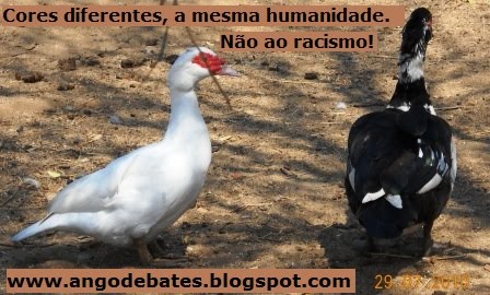 GOOSE GOOSE DUCK: EU FUI MUITO BURRO E MUITO INTELIGENTE AO MESMO