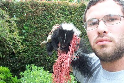 All City Animal Trapping: SKUNK TRAPPING IN LOS ANGELES COUNTY CALL ALL