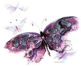 [watercolor+butterfly.jpg]