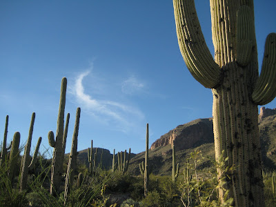 Old Pueblo 50 Mile and Tucson Trip Preview