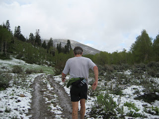 The Week of June 2-8, 2008