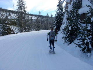 MdS pack training