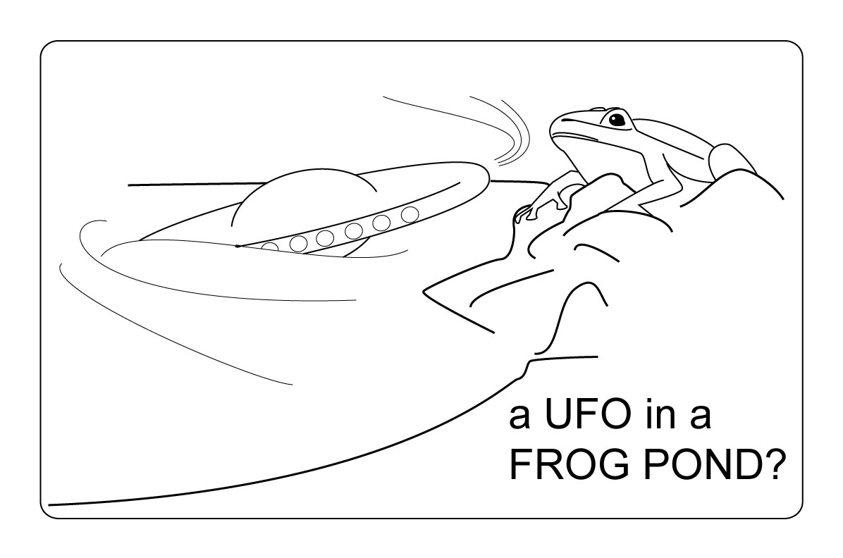[UFOfrogPOND.jpg]