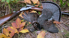 Ruffed Grouse