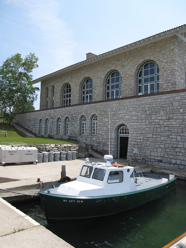 The Lost Albatross Ode to Rock Island