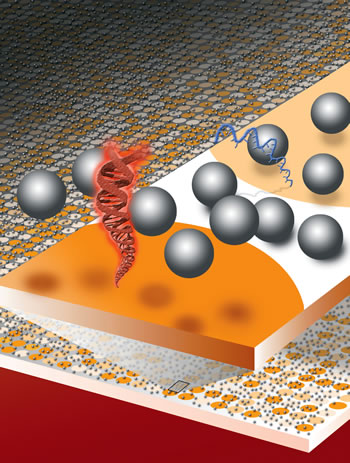 [Microarray-assay.jpg]