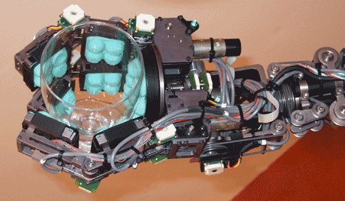 [ObDetail.gif]