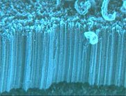 [nanotubesheets.jpg]