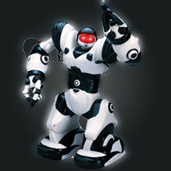 [robosapien.jpg]