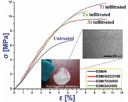 [spidersilkmetal0.JPG]