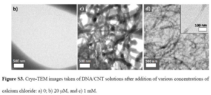 [dnawrappedcnt2.JPG]