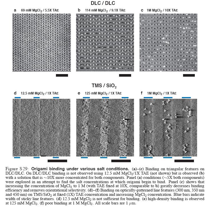 [ibmCNTDNAorigami3.jpg]