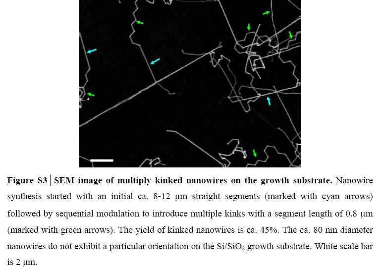 [nanowirekinked.jpg]