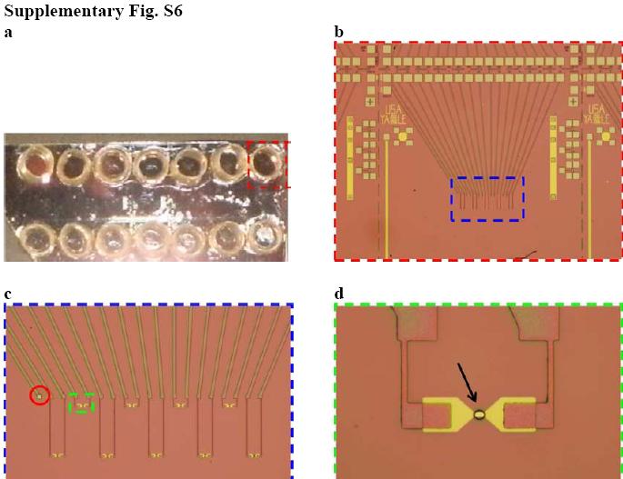 [biomarkerblood2.jpg]