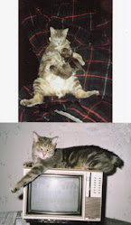 Schwanzlos, Our Bobtail (1987-2003)