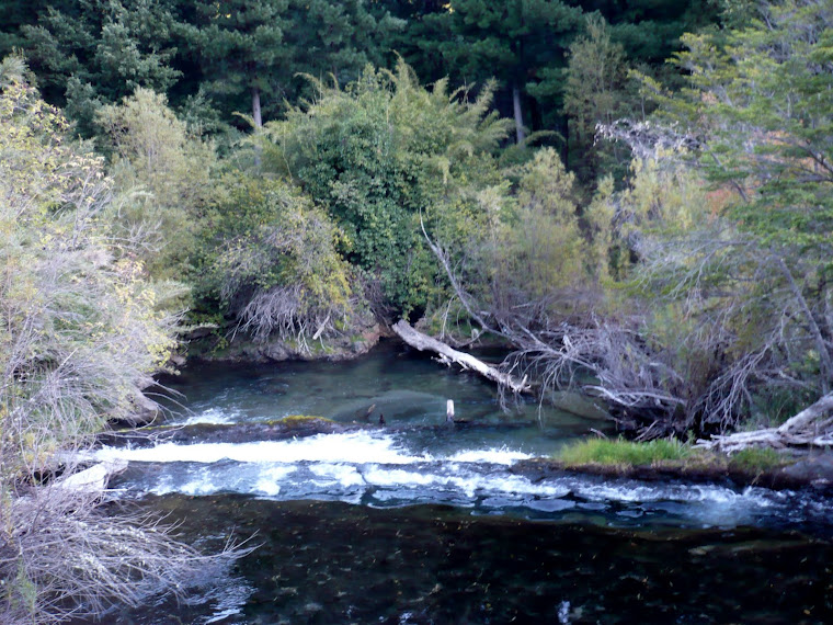 PAISAJE (2). EN LA DIAFANIDAD DEL TORRENTE, UN LUGAR DE PLACERES DE ORO