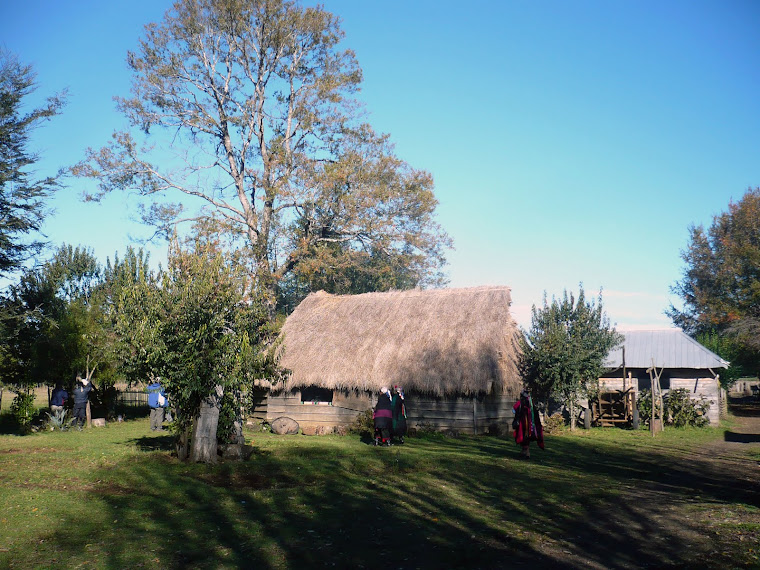 CULTURA MAPUCHE (11). EL PAISAJE MAPUCHE ES LA PERSEVERANCIA DE LA CULTURA DE LOS ANCESTROS