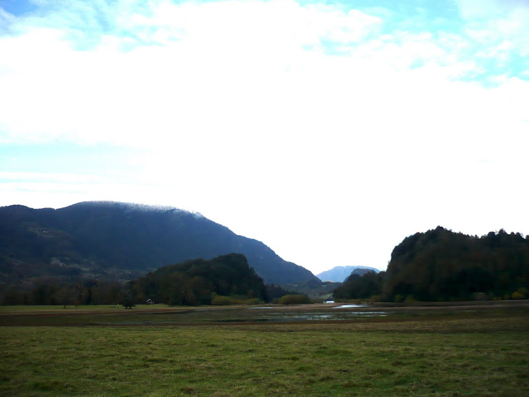 LO QUE MIS OJOS VEN (16). LA INMENSIDAD DEL PAISAJE EN LA NACIÓN MAPUCHE