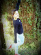 Mi foto