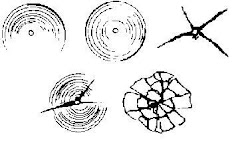 REPARAMOS TODO TIPO DE DAÑO