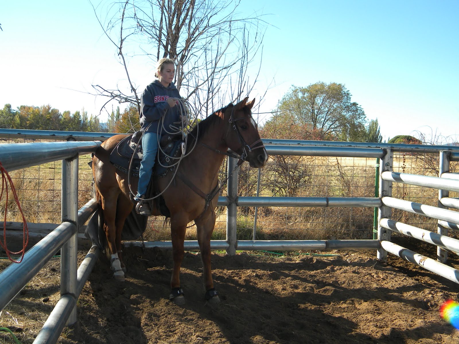 View topic - ***Horse Lovers Guild*** always accepting - Chicken Smoothie
