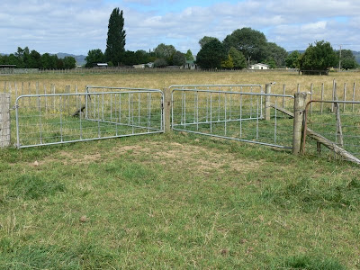 Woolshed 1 Cattle Farm Husbandry Fencing For Cattle woolshed-1-cattle-farm-husbandry-fencing-for-cattle