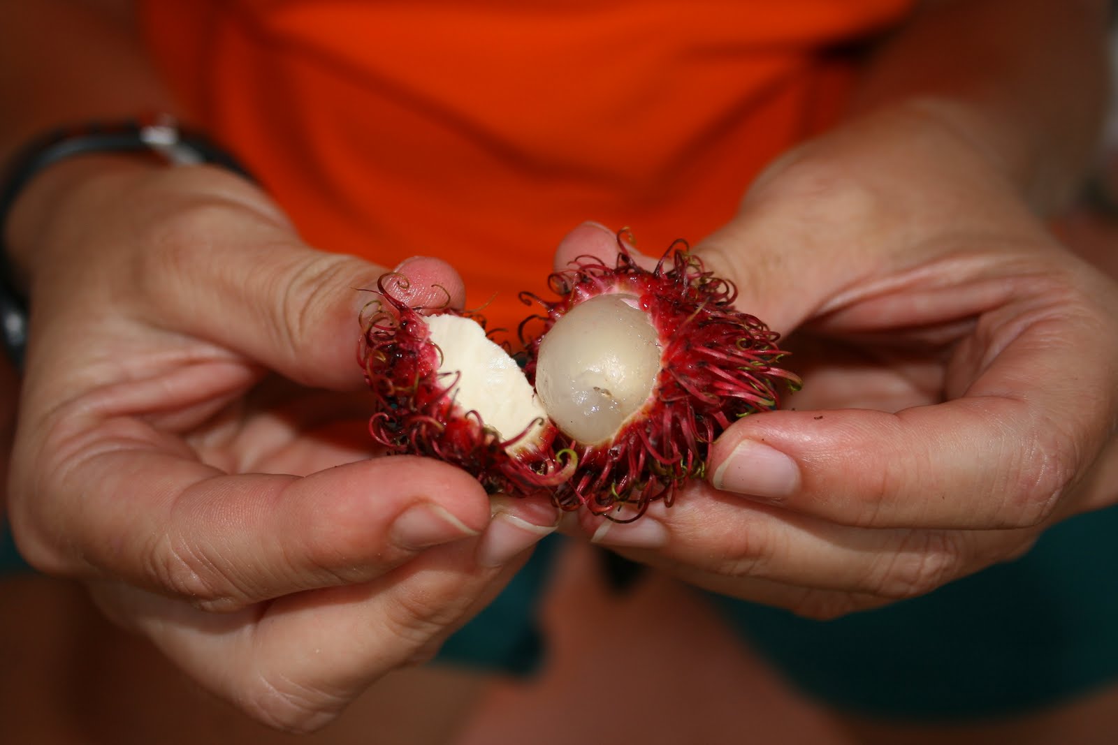 IMAGENES Y VIAJES: MAMONES CHINOS