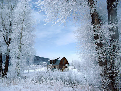 http://1.bp.blogspot.com/_W1ueYt1O3xs/R1Kf2UKzs8I/AAAAAAAACt4/lniDV5svKQE/s1600-R/Winter+Wonderland,+Steamboat+Springs,+Colorado.jpg