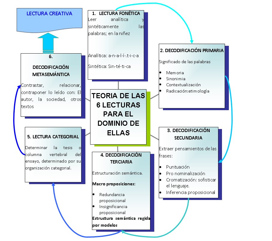 Descubre la Teoría de la Lectura: Claves para Comprender Mejor_teoria_online Teoria de la lectura_teoria_online