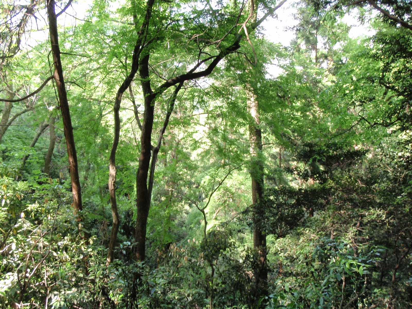 [P5060368+copia.JPG]