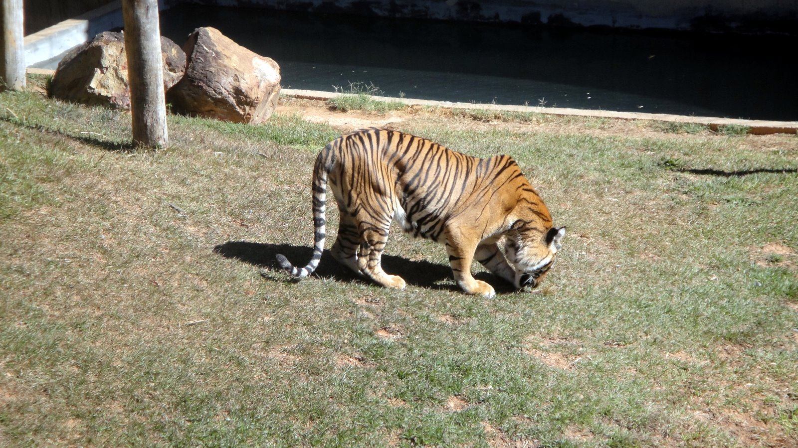 Zoom Fotografias ZOOLÓGICO DE BRASILIA
