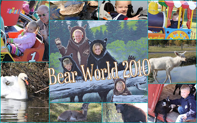 Bear World Collage