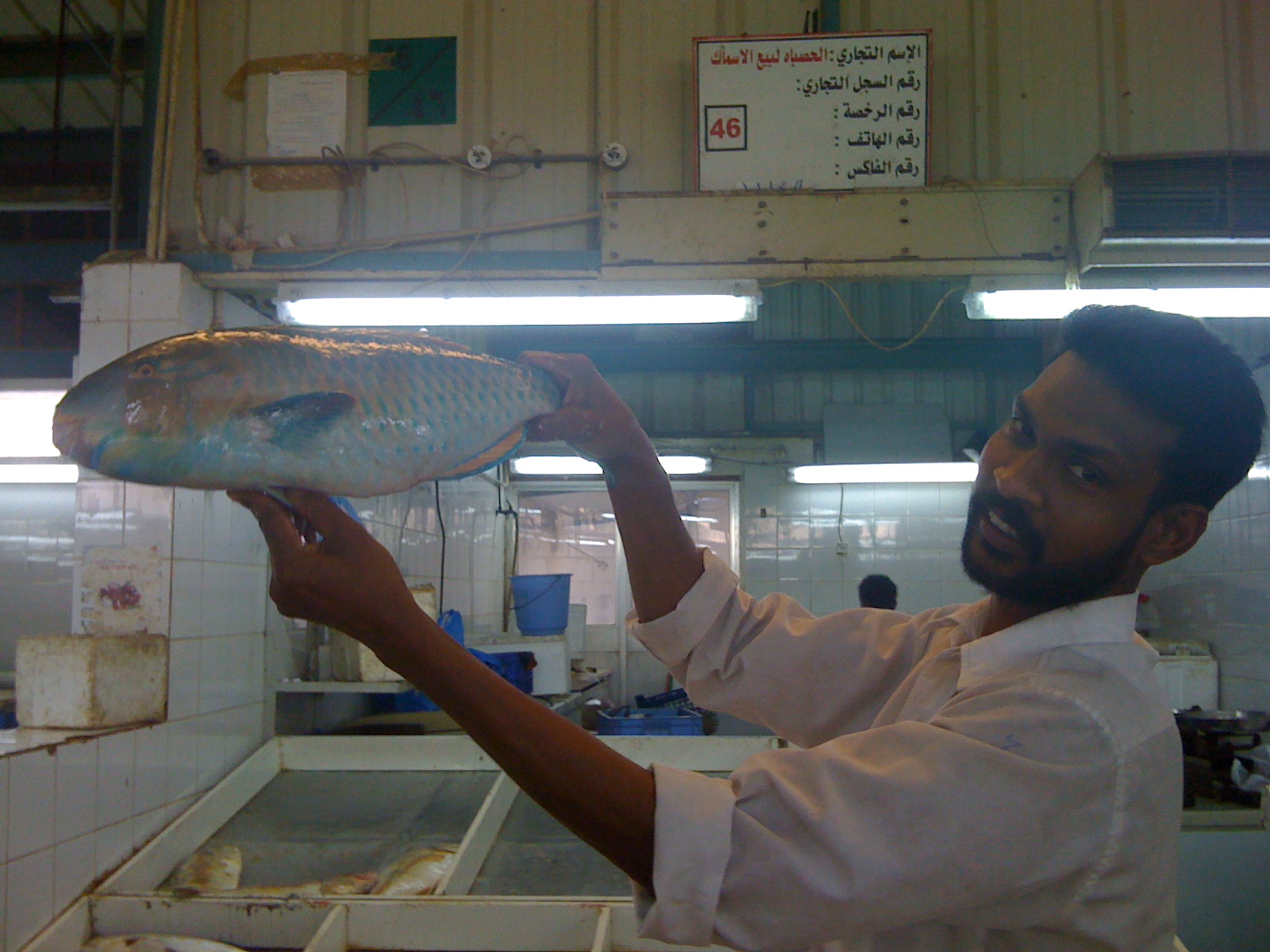 Sea In Action Early Morning Doha Fish Market Visit