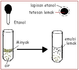 [uji+lemak+3.bmp]